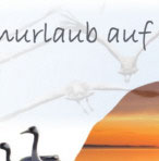 Physiotherapie, Ergotherapie und Wellness whrend Ihres Urlaubes auf der Insel Ummanz - Insel Rgen. Sie haben im normalen Alltag zu wenig Zeit oder Sie mchte einen begonnene Behandlung im Urlaub nicht unterbrechen, dann buchen Sie unsere Ferienwohnung und nehmen unsere Leistungen der Physiotherapie und Ergotherapie in Anspruch. Privat oder auch auf Kassenrezept.