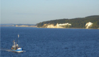 Kreidek�ste - Insel R�gen